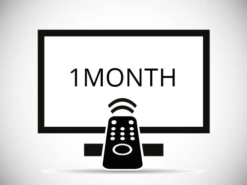 1 Month MegaOTT IPTV 1 Device 1 Connection